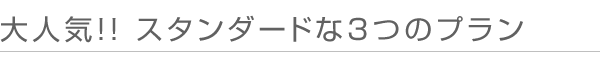大人気!! スタンダードな3つのプラン