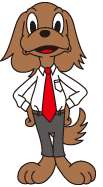 エコノミー犬