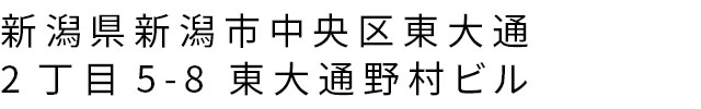 新潟県新潟市中央区東大通2丁目5-8 東大通野村ビル