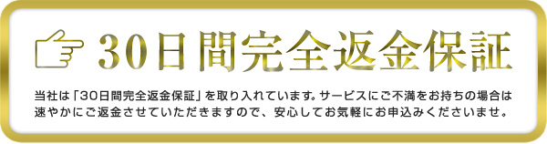 30日間完全返金保証