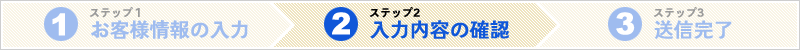 ステップ２　入力内容の確認